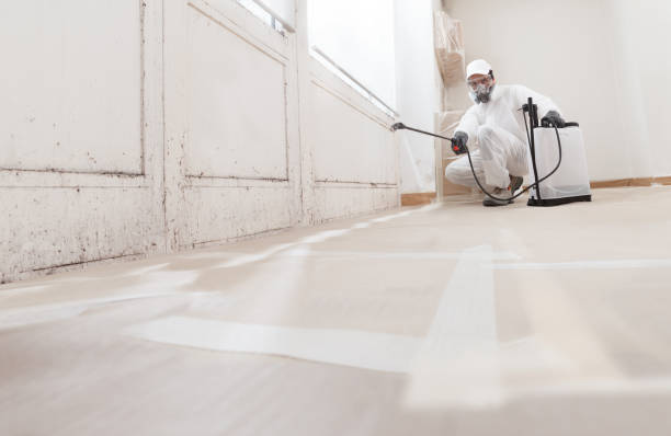 24/7 Emergency Bathroom Mold Removal experts in Point Pleasant, PA